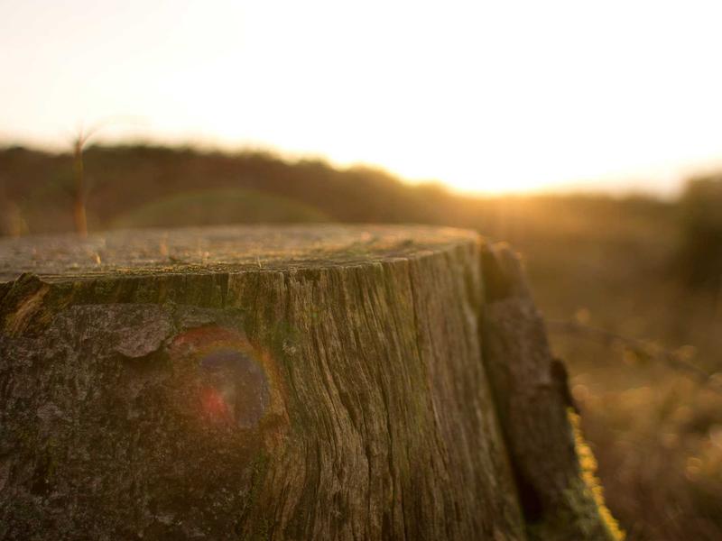 sudoku logical deduction screenshot 2